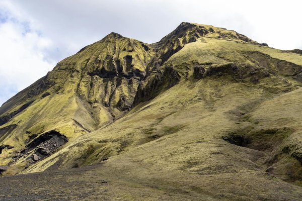 Découvrez les vertus incontournables du forever aloe vera gel